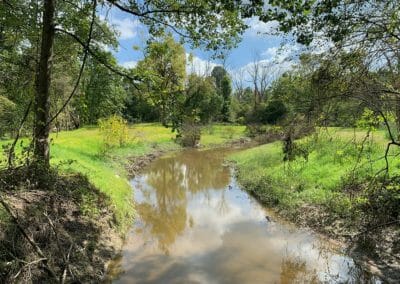 Peters Creek